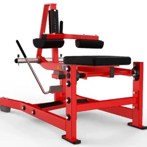 Seated Calf Raise