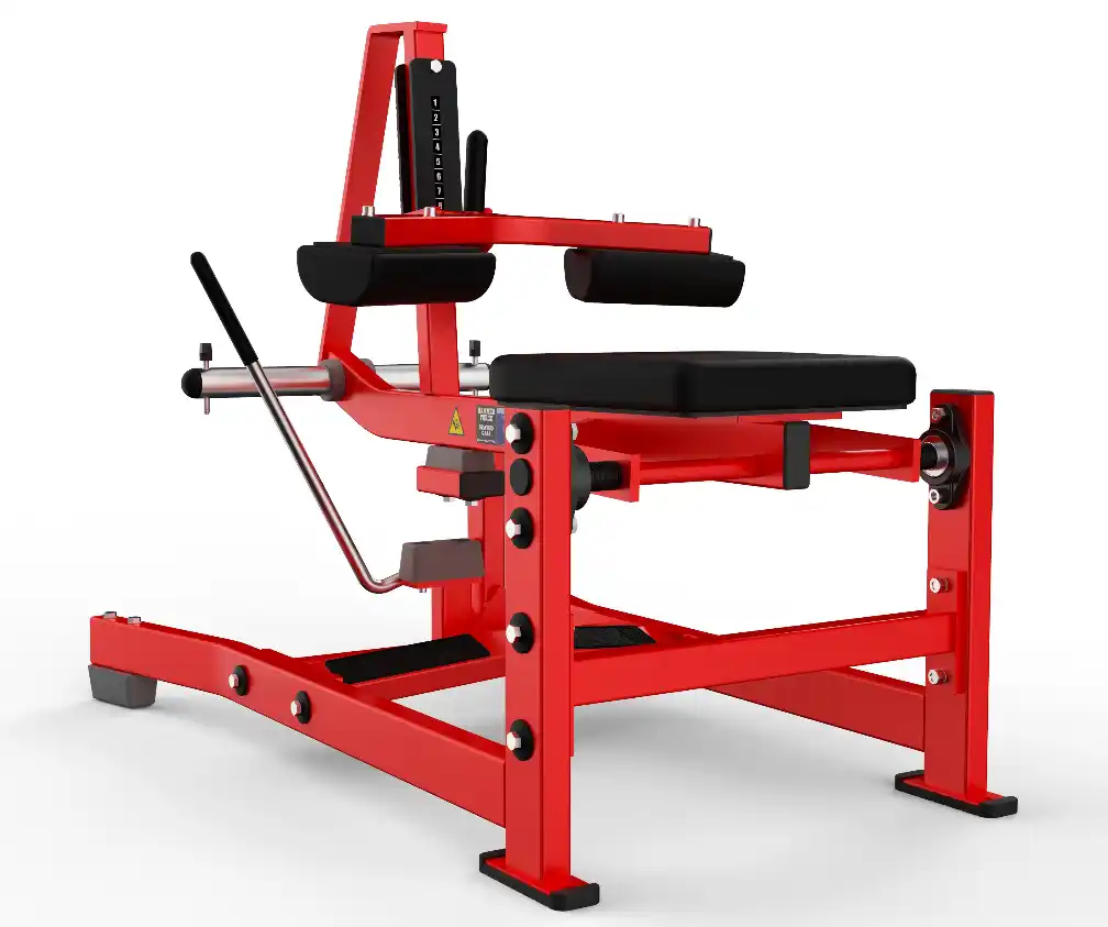Seated Calf Raise